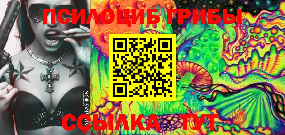 купить  цена  Вход с VPN  Сертолово  Псилоцибиновые грибы Psilocybine cubensis 